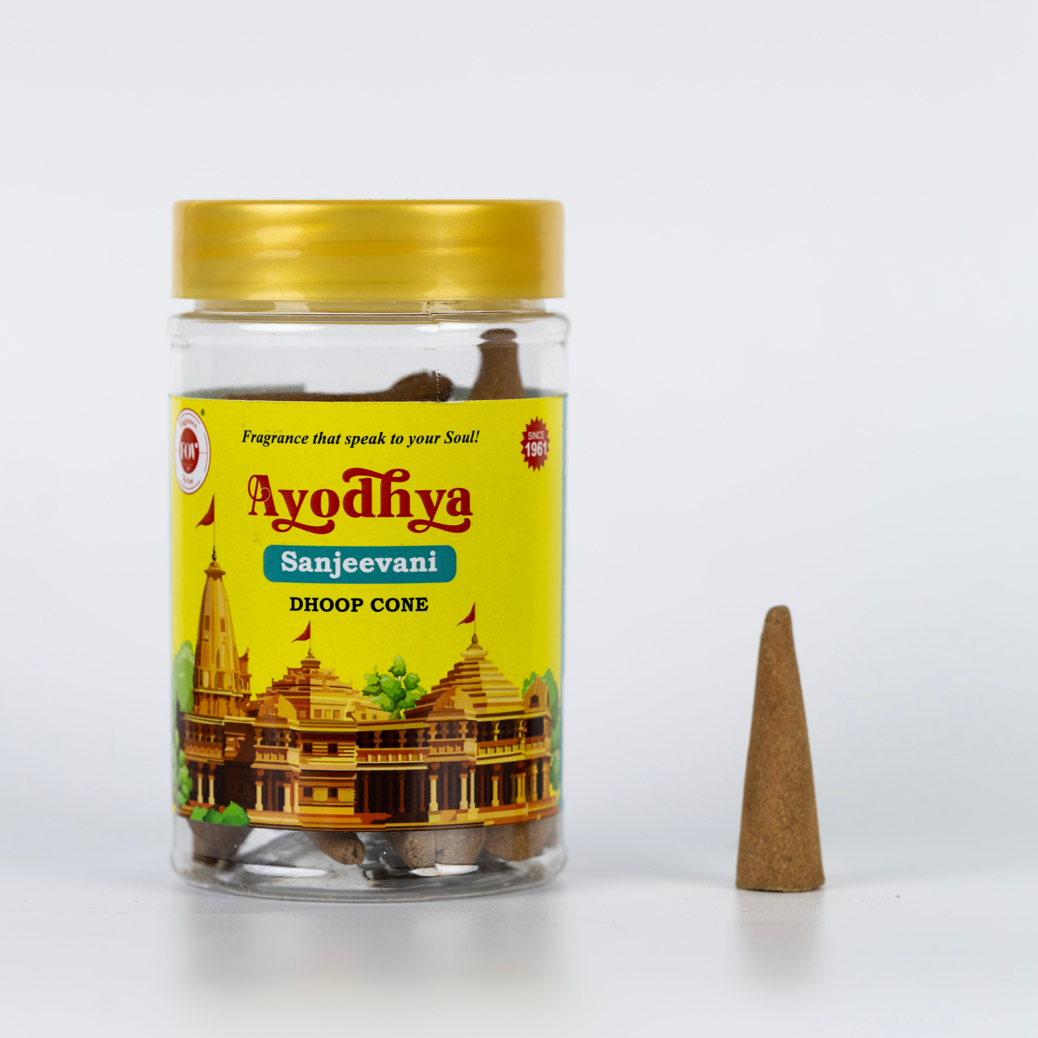 Wellness -Sanjeevani| Dhoop Incense Cone